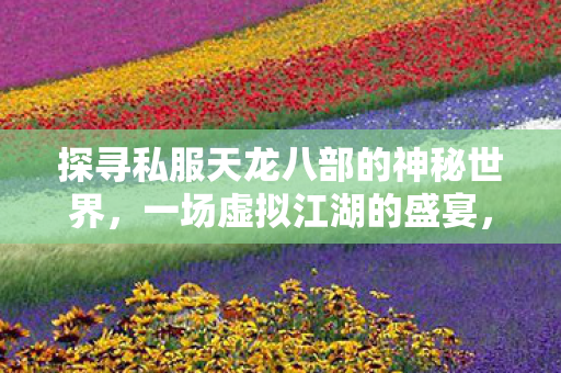 探寻私服天龙八部的神秘世界图片