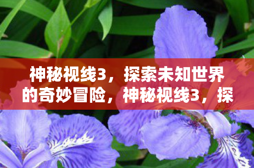 探索未知世界的奇妙冒险图片