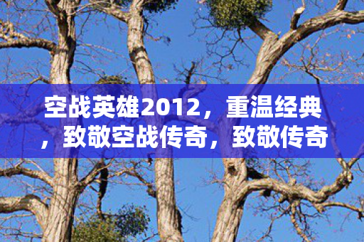 重温空战英雄2012经典空战图片