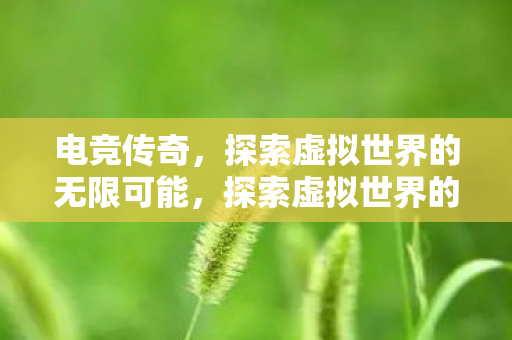 探索虚拟世界的无限可能图片
