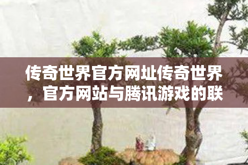 传奇世界官方网址传奇世界图片