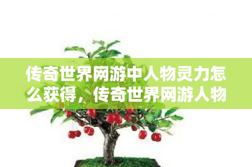 传奇世界网游中人物灵力怎么获得图片