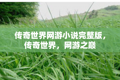 传奇世界网游小说完整版图片