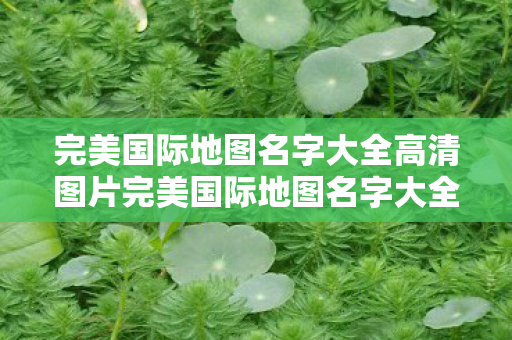 完美国际地图名字大全高清图片完美国际地图名字大全高清图片