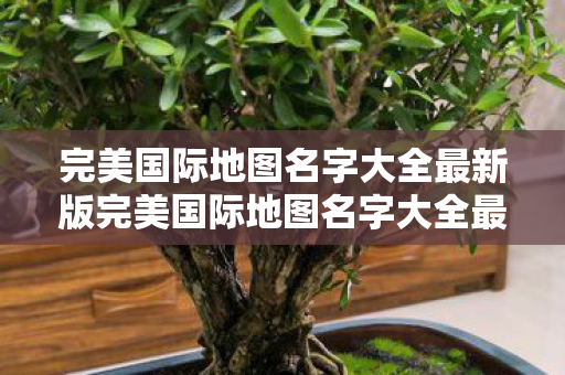 完美国际地图名字大全最新版完美国际地图名字大全最新图片
