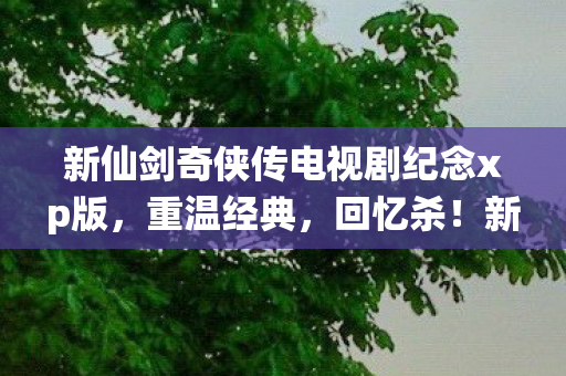 新仙剑奇侠传电视剧纪念xp版图片