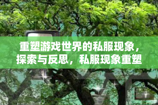 重塑游戏世界的私服现象图片