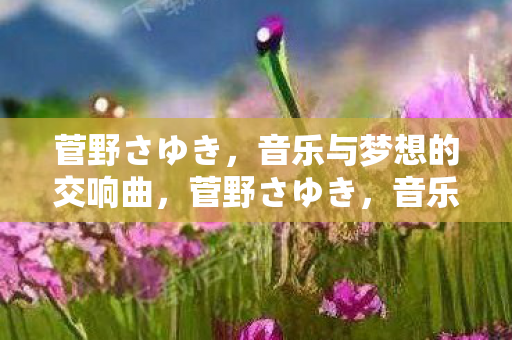 菅野さゆき，音乐与梦想的交响曲，菅野さゆき，音乐与梦想的交响曲