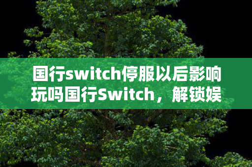 国行switch停服以后影响玩吗国行Switch，解锁娱乐新境界，国行Switch停服后的影响，解锁娱乐新境界的挑战