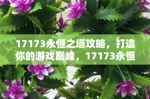 17173永恒之塔攻略图片