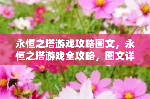 永恒之塔游戏攻略图文图片