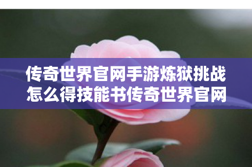 传奇世界官网手游炼狱挑战怎么得技能书传奇世界官网手游图片