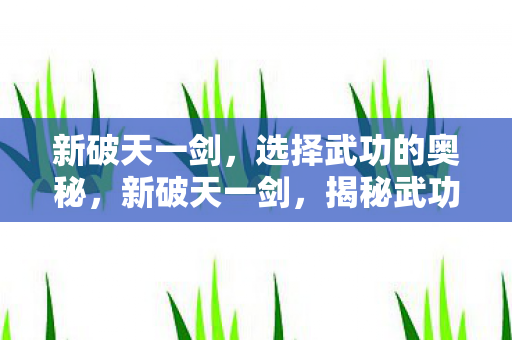 新破天一剑,选择武功的奥秘,新破天一剑,揭秘武功选择奥秘 新破天一剑,选择武功的奥秘,新破天一剑,揭秘武功选择奥秘