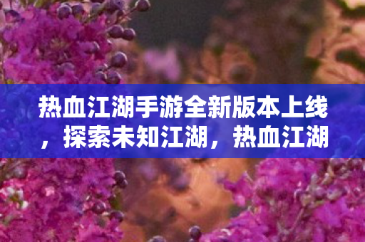 热血江湖手游全新版本探索未知江湖图片