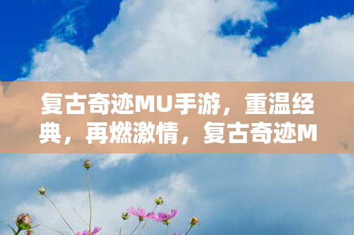 复古奇迹MU手游图片
