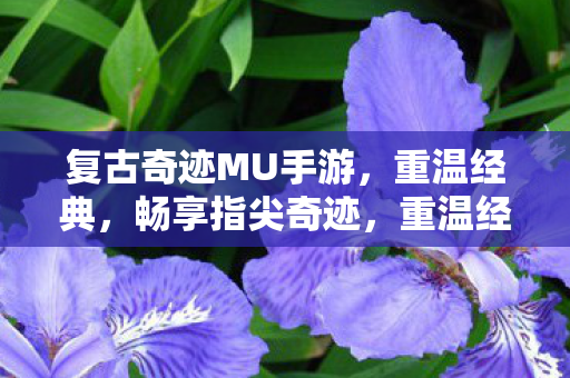重温经典奇迹MU手游图片