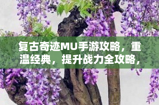 复古奇迹MU手游战力提升全攻略图片