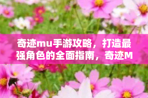 打造最强角色的全面指南图片