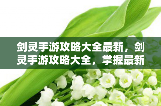 剑灵手游攻略大全最新,剑灵手游攻略大全,掌握最新技巧,助你称霸游戏世界! 剑灵手游攻略大全最新,剑灵手游攻略大全,掌握最新技巧,助你称霸游戏世界!