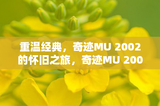 奇迹MU 2002的怀旧之旅图片