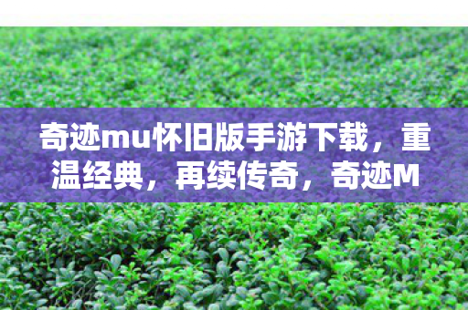 奇迹mu怀旧版手游下载图片