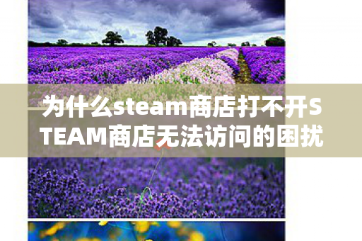 为什么steam商店打不开STEAM商店无法访问的困扰与解决之道,解决之道,为什么Steam商店打不开及无法访问的困扰 为什么steam商店打不开STEAM商店无法访问的困扰与解决之道,解决之道,为什么Steam商店打不开及无法访问的困扰