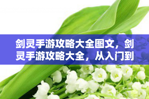 剑灵手游攻略大全图文，剑灵手游攻略大全，从入门到精通的图文指南