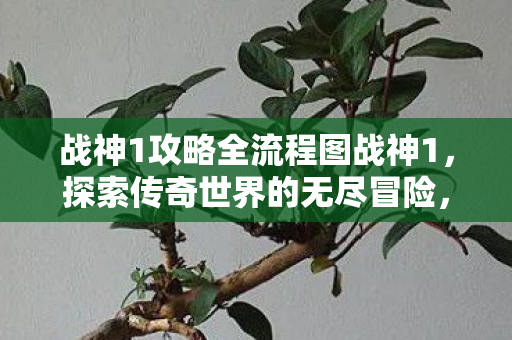 战神1攻略全流程图战神1，探索传奇世界的无尽冒险，战神1全流程攻略，探索传奇世界的无尽冒险