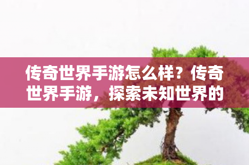 探索未知世界的奇妙之旅图片