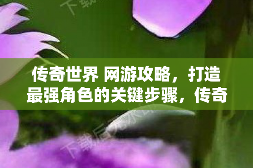 打造最强角色的关键步骤图片