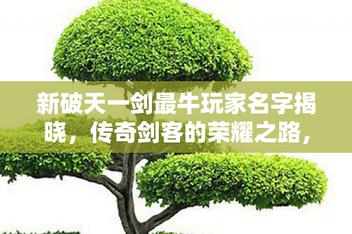 新破天一剑最牛玩家名字揭晓,传奇剑客的荣耀之路,新破天一剑最牛玩家荣耀之路,传奇剑客名字揭晓 新破天一剑最牛玩家名字揭晓,传奇剑客的荣耀之路,新破天一剑最牛玩家荣耀之路,传奇剑客名字揭晓