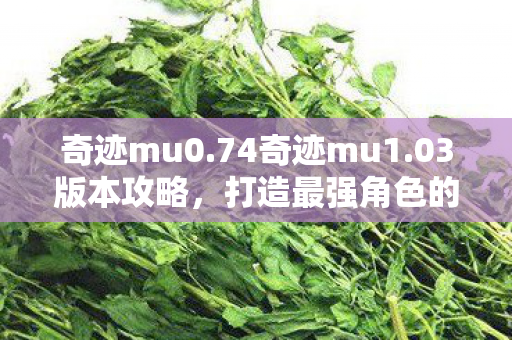 打造最强角色的全面指南图片