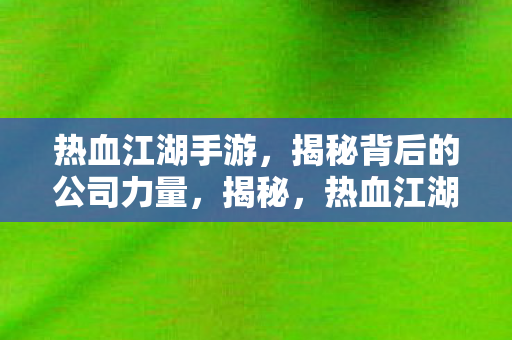 热血江湖手游，揭秘背后的公司力量，揭秘，热血江湖手游背后的公司力量