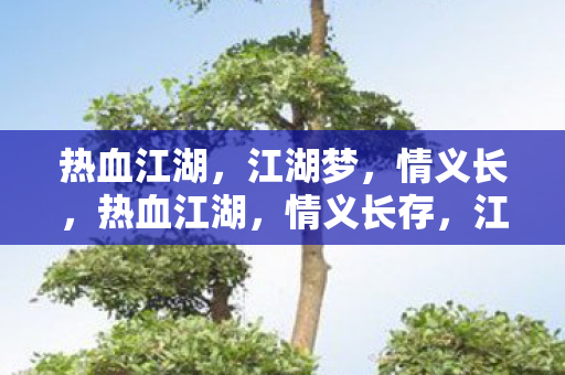 热血江湖，江湖梦，情义长，热血江湖，情义长存，江湖梦未醒