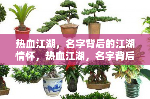 热血江湖，名字背后的江湖情怀，热血江湖，名字背后的江湖情怀