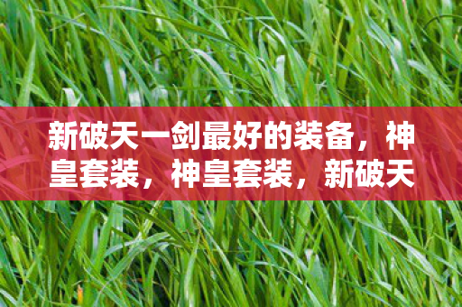 新破天一剑最好的装备,神皇套装,神皇套装,新破天一剑最佳装备 新破天一剑最好的装备,神皇套装,神皇套装,新破天一剑最佳装备