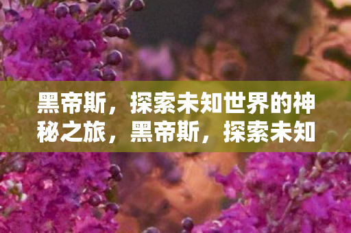 黑帝斯,探索未知世界的神秘之旅,黑帝斯,探索未知世界的神秘之旅 黑帝斯,探索未知世界的神秘之旅,黑帝斯,探索未知世界的神秘之旅
