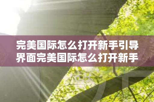 完美国际怎么打开新手引导界面完美国际怎么打开新手引导界面图片