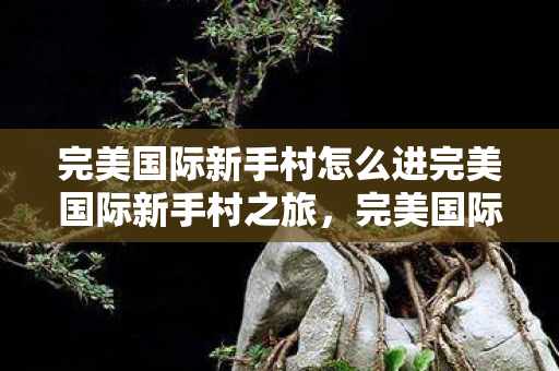 完美国际新手村怎么进完美国际新手村之旅图片