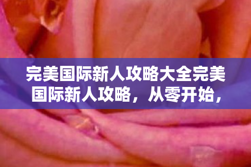 完美国际新人攻略大全完美国际新人攻略图片
