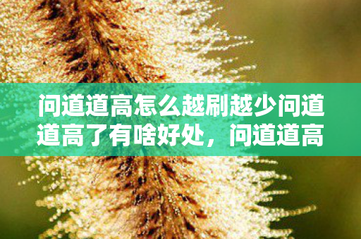 问道道高怎么越刷越少问道道高了有啥好处，问道道高为何越刷越少？道高带来的好处解析