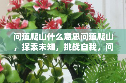 问道爬山什么意思问道爬山,探索未知,挑战自我,问道爬山,探索未知,挑战自我 问道爬山什么意思问道爬山,探索未知,挑战自我,问道爬山,探索未知,挑战自我