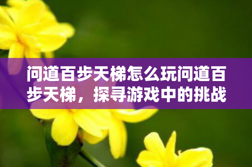 问道百步天梯怎么玩问道百步天梯，探寻游戏中的挑战与成长，问道百步天梯，挑战与成长的游戏之旅