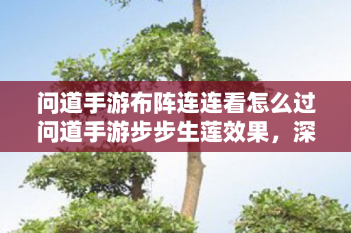 问道手游布阵连连看怎么过问道手游步步生莲效果,深度解析与实战应用,问道手游布阵连连看与步步生莲效果深度解析及实战应用 问道手游布阵连连看怎么过问道手游步步生莲效果,深度解析与实战应用,问道手游布阵连连看与步步生莲效果深度解析及实战应用