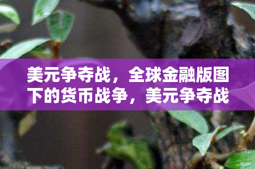 全球金融版图下的货币战争图片