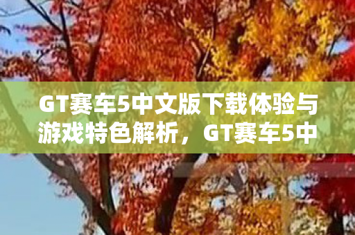 GT赛车5中文版下载体验与游戏特色解析图片