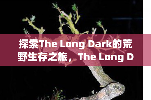 探索The Long Dark的荒野生存之旅,The Long Dark荒野生存之旅,探索未知的挑战与冒险 探索The Long Dark的荒野生存之旅,The Long Dark荒野生存之旅,探索未知的挑战与冒险