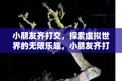 小朋友齐打交，探索虚拟世界的无限乐趣，小朋友齐打交，探索虚拟世界的无限乐趣