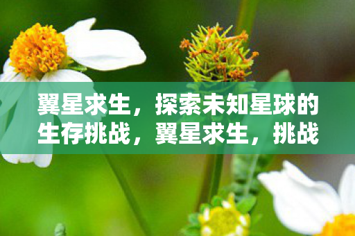 翼星求生，探索未知星球的生存挑战，翼星求生，挑战未知星球的生存