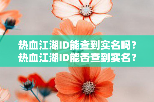 热血江湖ID能查到实名吗？热血江湖ID能否查到实名？